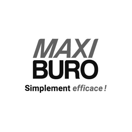 logo Maxi Buro